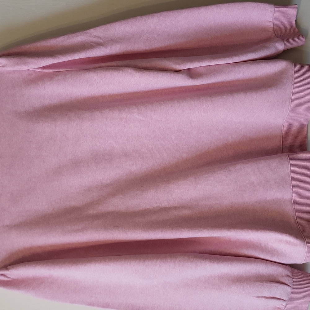 Talbots Pink 'Strength' Sweatshirt Size Large - Picture 4 of 5
